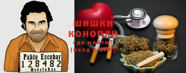 амф Краснослободск