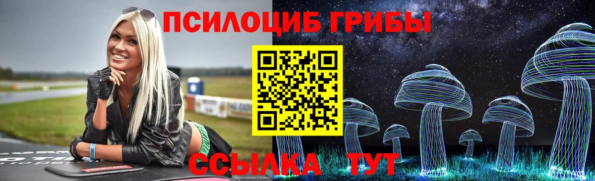 где купить   Псилоцибиновые грибы прущие грибы  Вход с VPN  Курчатов 