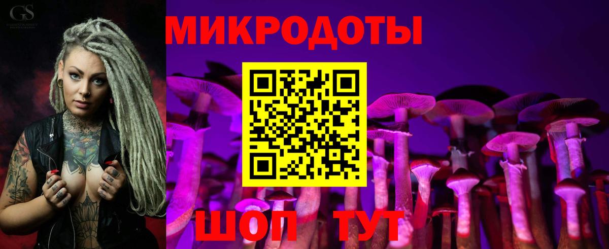 Галлюциногенные грибы мицелий Курчатов