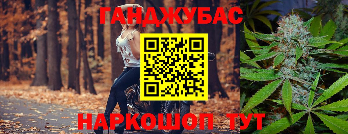 Бошки Шишки планчик Курчатов